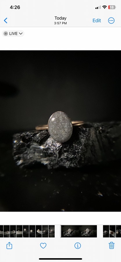 Charlotte single band ring